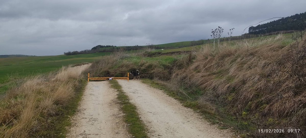 Radiovoluntarios de Emergencia NAVARRA tweet media