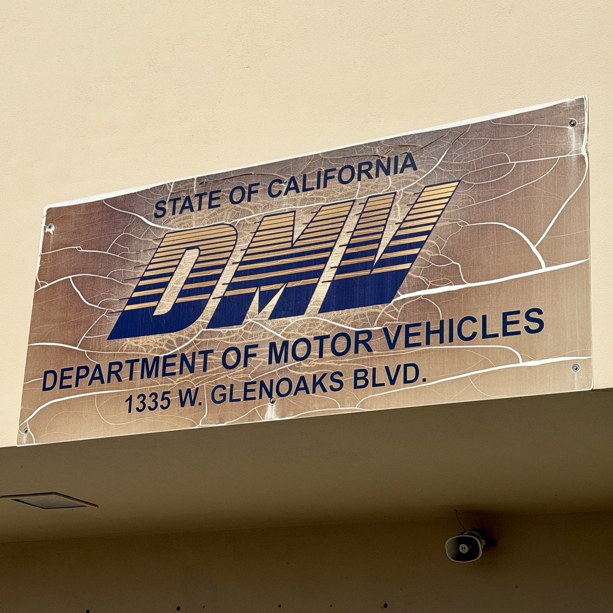 Lellius Rose tweet media