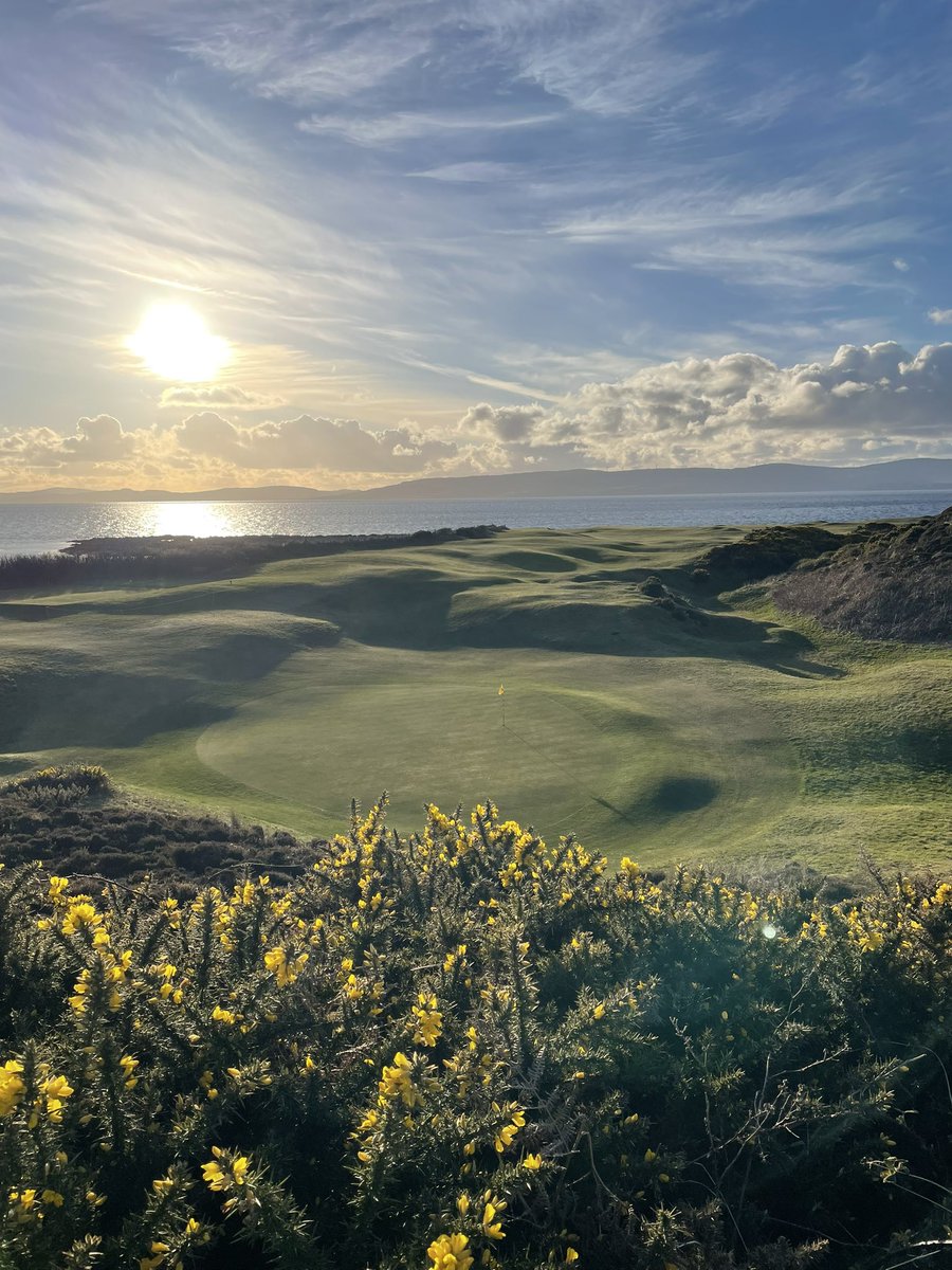 Arran Golf tweet media