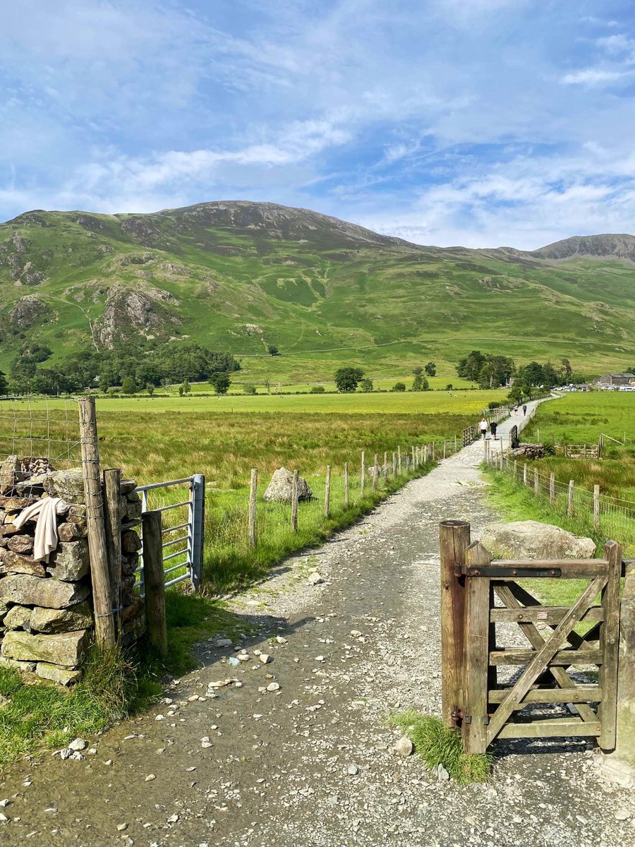 Postcard from Britain tweet media