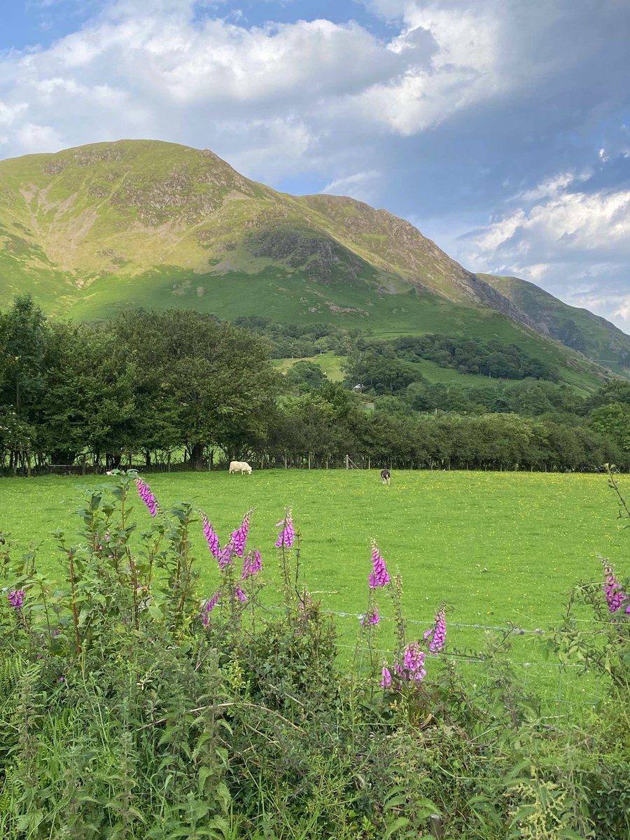 Postcard from Britain tweet media