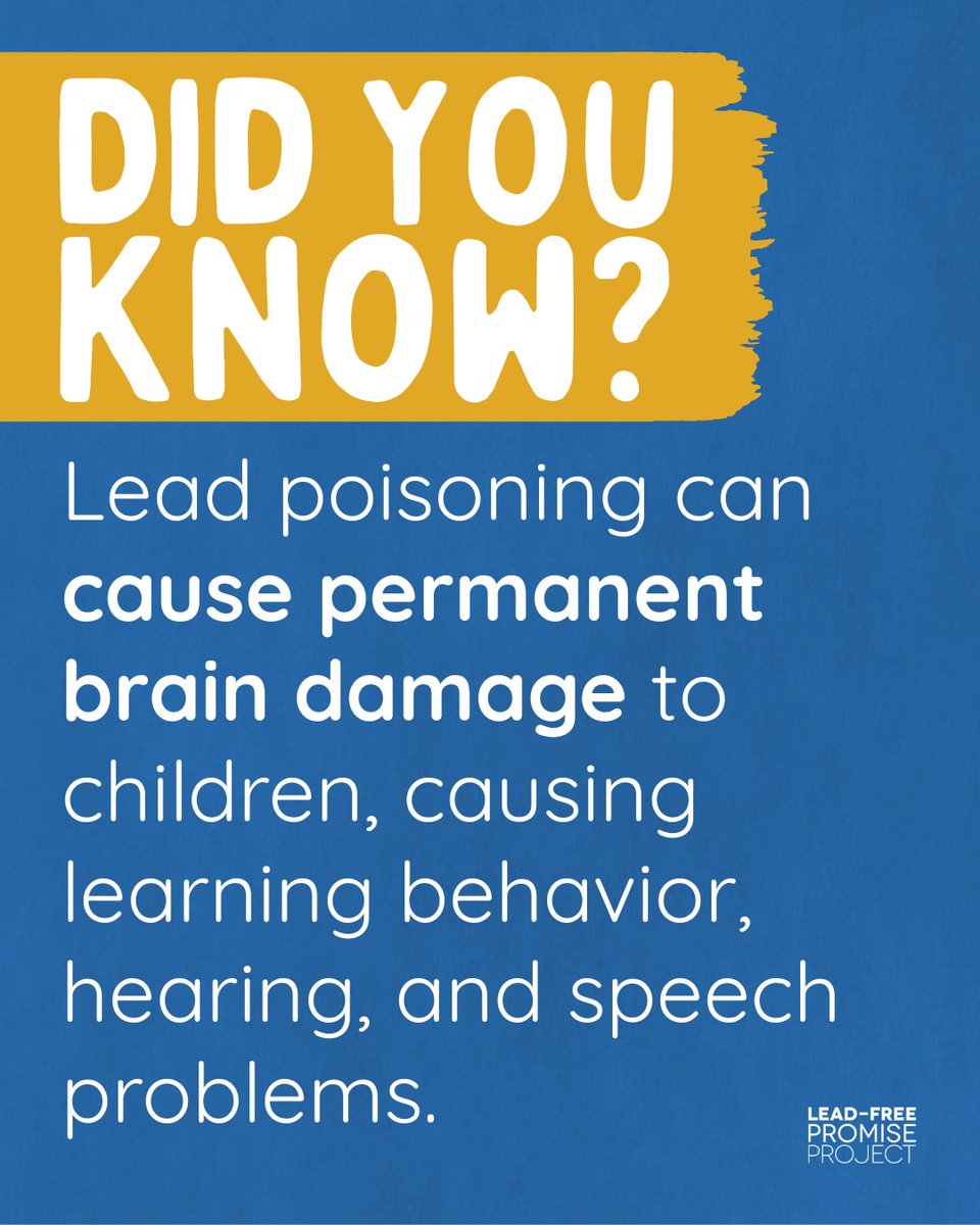 Lead-Free Promise Project tweet media