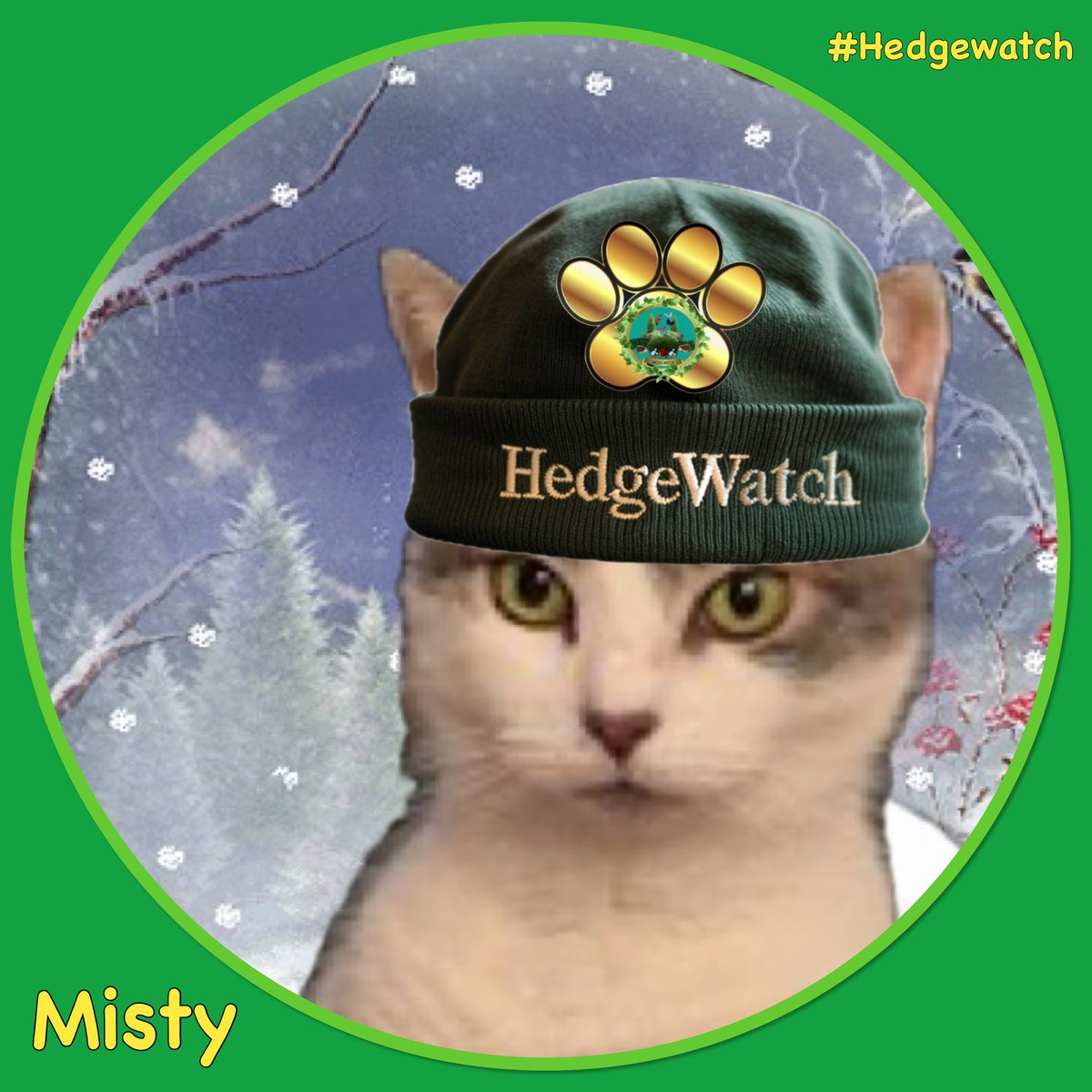 Hedgewatch tweet media