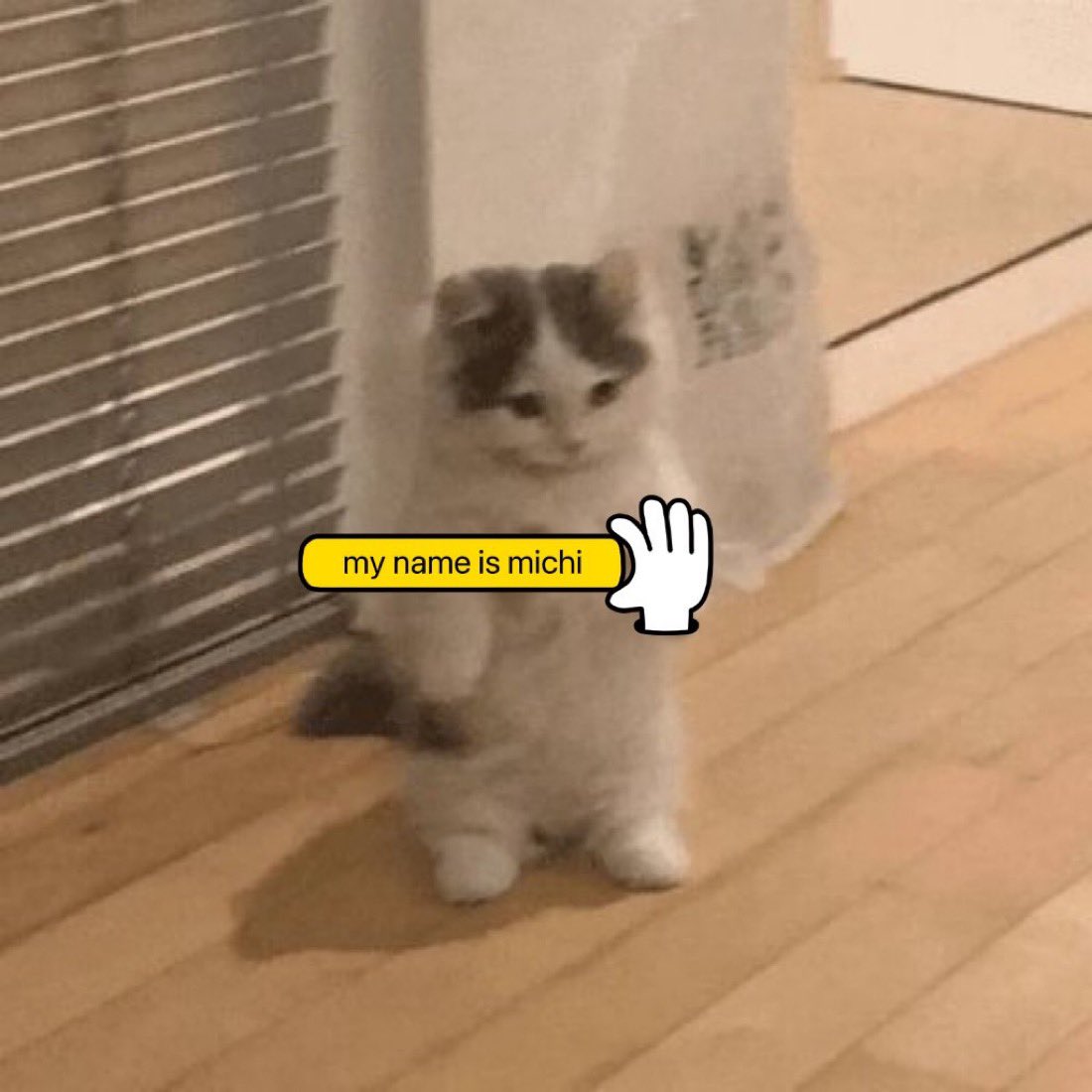 michi (@michionsolana) on Twitter photo 