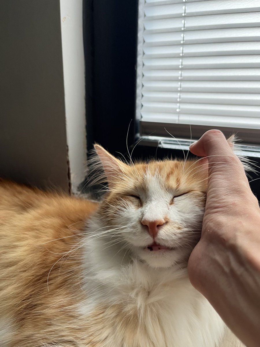 başka bir evrende en güzel halinle