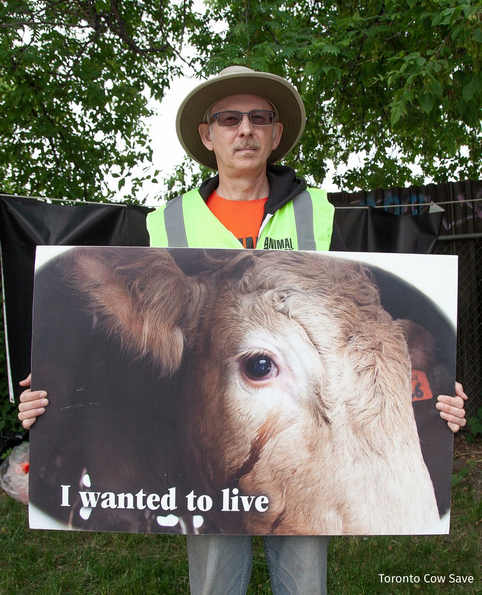 animalsavemvmt's tweet image. Animals don't sacrifice their lives for us.
They fight for their life until their last breath.

Life is precious for all of us.
Don't take theirs away for something we don't even need. Join us in being vegan and getting active to help.

#animals #cow #Lifestyle