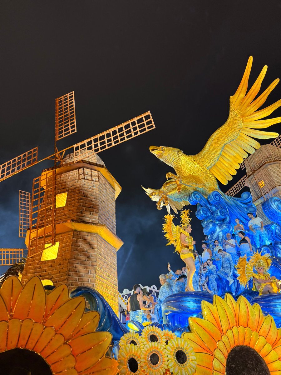 Netherlands in Brazil tweet media