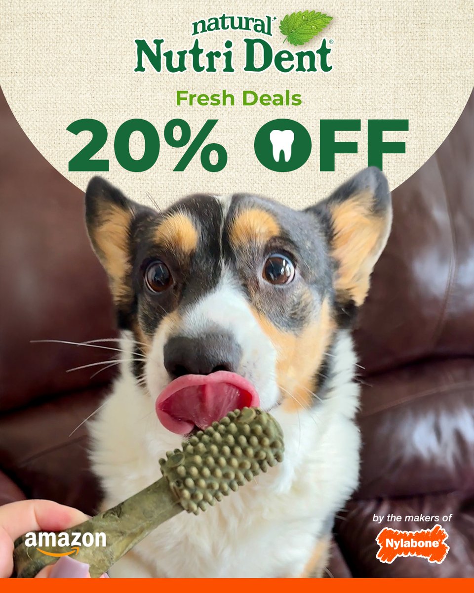 Nylabone Products tweet media