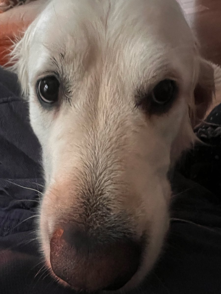 PhillipeXMN tweet media