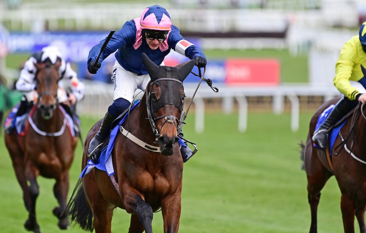 CHAMPIONS DAY TICKETS GIVEAWAY🏆

Myself and <a href="/Fairplayapp/">Fairplay Exchange</a> are giving you and one friend a chance to win 2x champions day tickets for this years Cheltenham festival 🤩

To enter:
- Like this post 
- Follow <a href="/Fairplayapp/">Fairplay Exchange</a> 
- Retweet this post 

Good luck🤞🏽