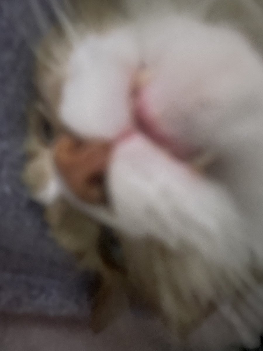 林ゆみ子 tweet media