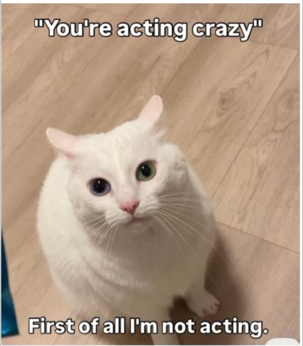 snotzthecat's tweet photo. https://t.co/D6uk2dZIhE