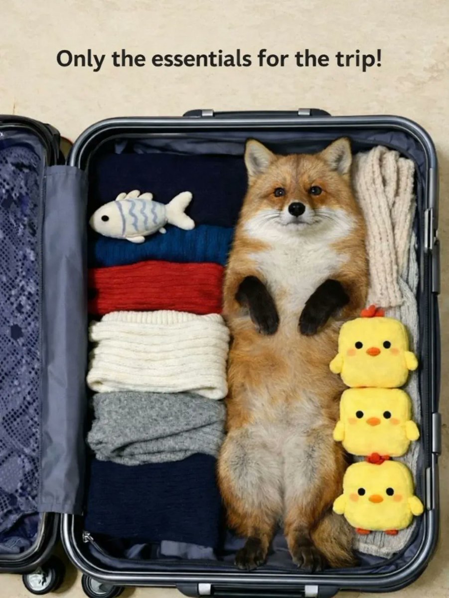 🍁 𝓣𝓱𝓮 𝓕𝓸𝔁 𝓛𝓲𝓯𝓮 🌾🦊 tweet media