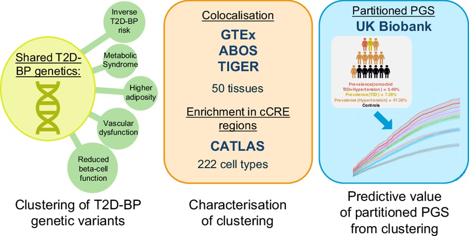 Vincent Pascat tweet media