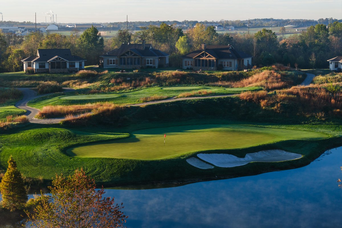 Dormie Network tweet media