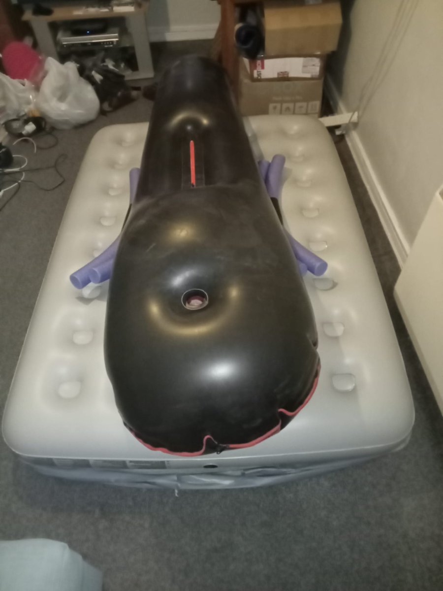 Lover of Male Bondage / Animal Mask Kink tweet media