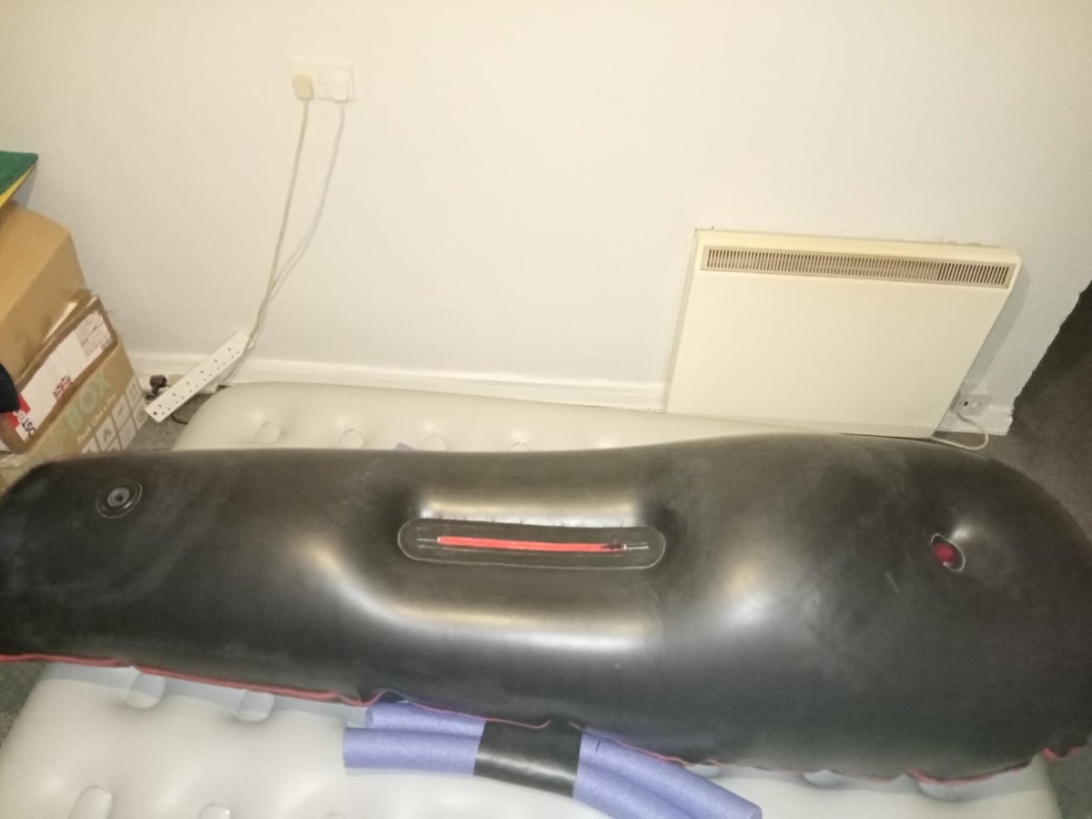 Lover of Male Bondage / Animal Mask Kink tweet media