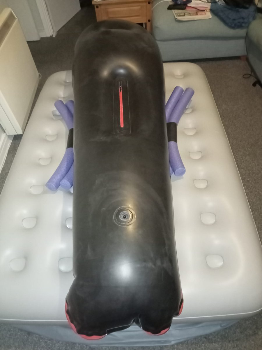 Lover of Male Bondage / Animal Mask Kink tweet media