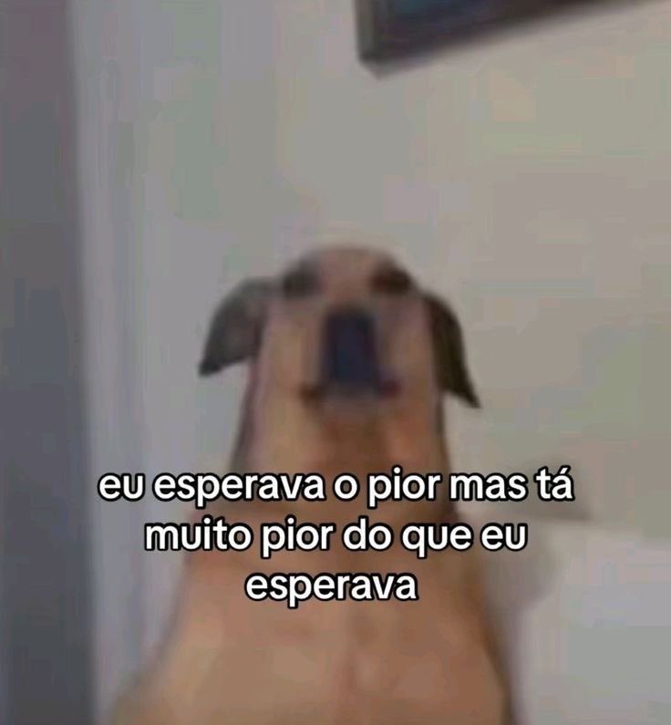 paginalixo1's tweet photo. https://t.co/9de3xvo06j