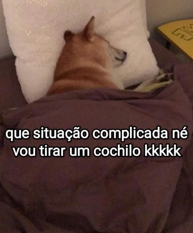 paginalixo1's tweet photo. https://t.co/wzadXHi7TL