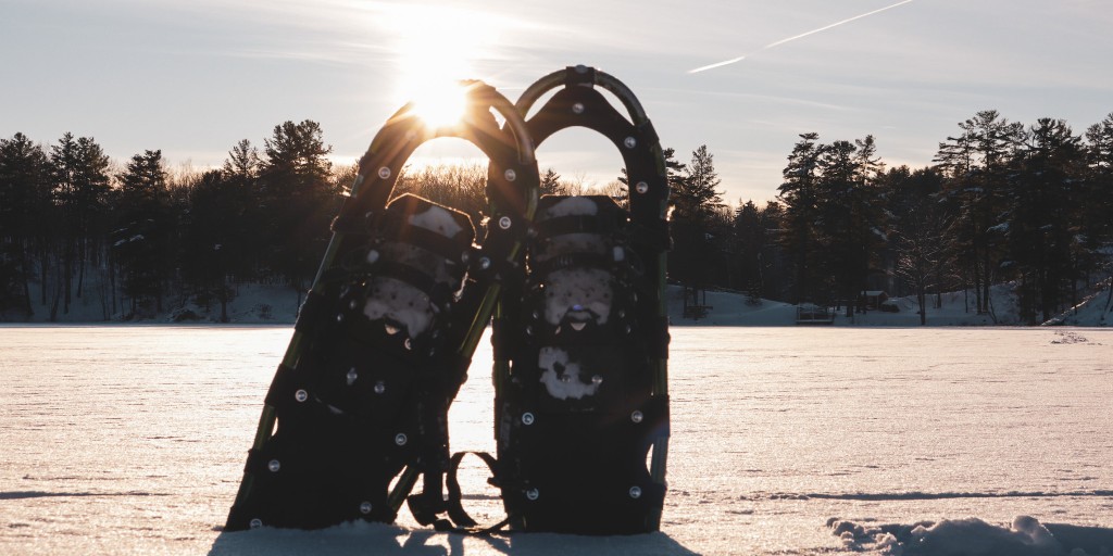 Frontenac Provincial Park tweet media