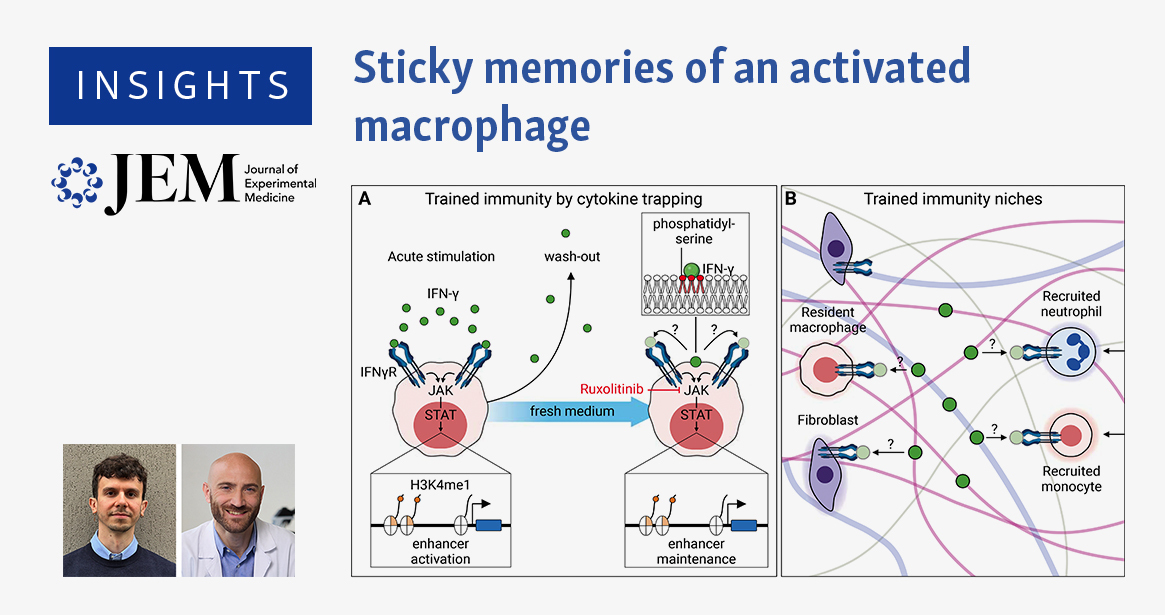 Journal of Experimental Medicine tweet media