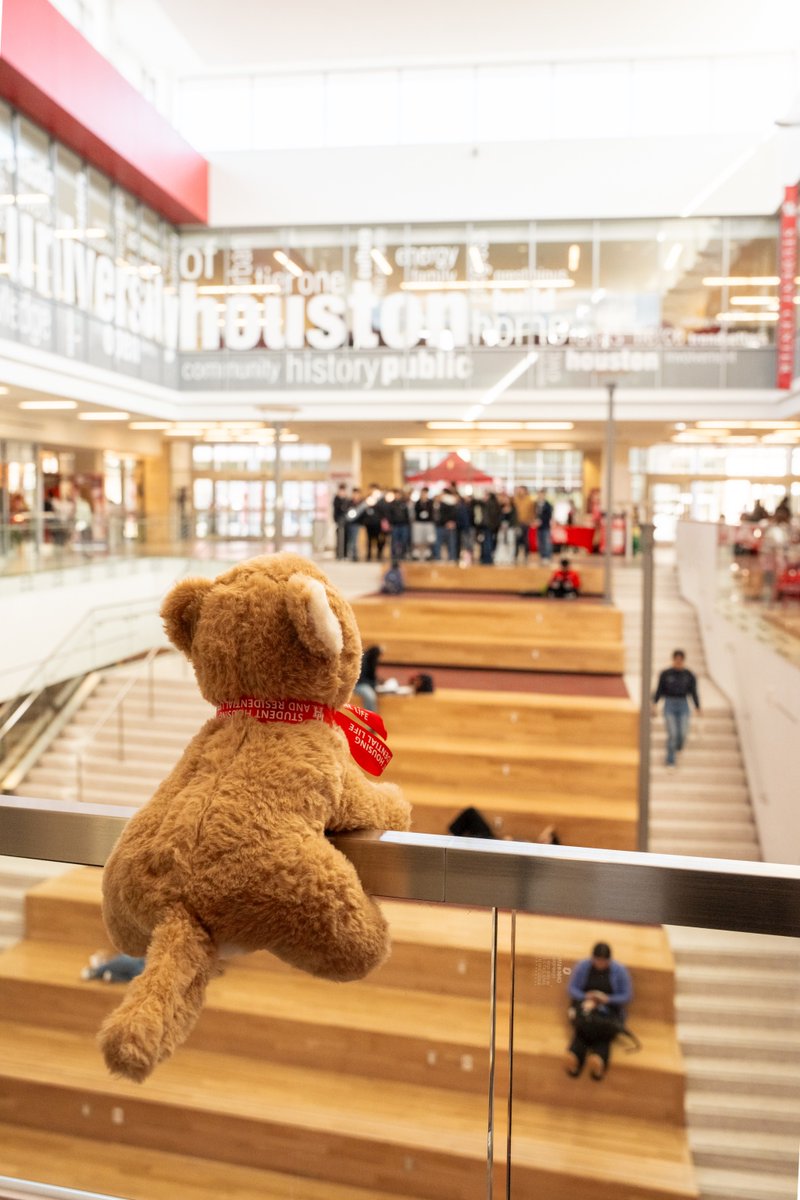 UH_Housing's tweet photo. All it took was the Coogs coming back to campus for Baby Shasta's heart to fall in love again and again! 🐾🥰 https://t.co/wWQJ5Q5R5t