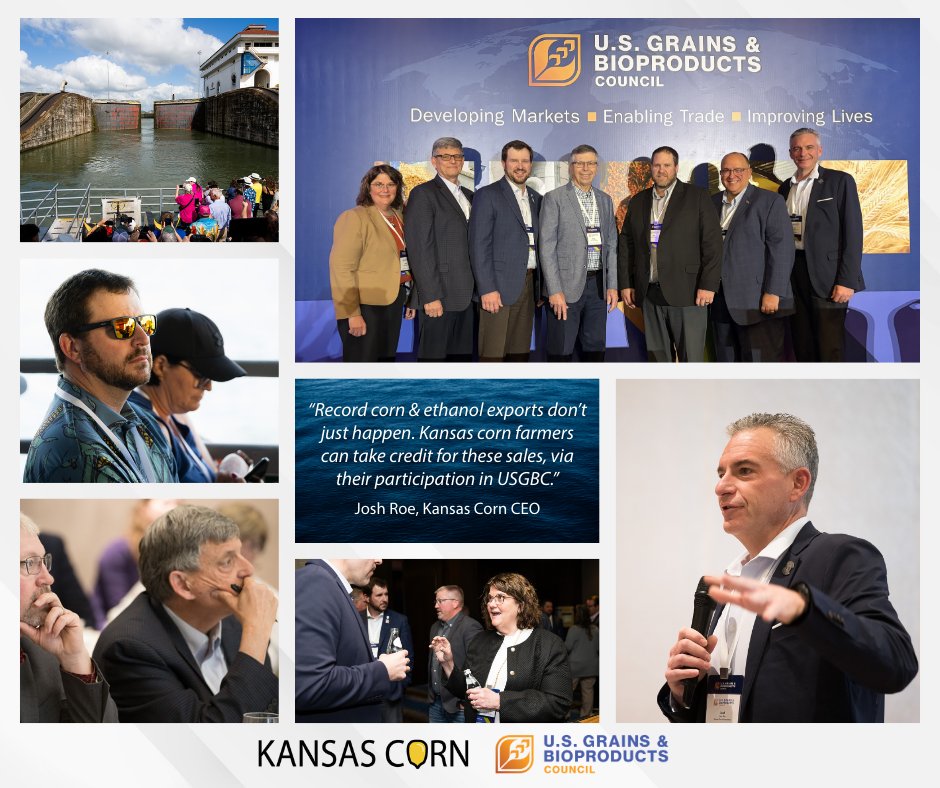 Kansas Corn tweet media