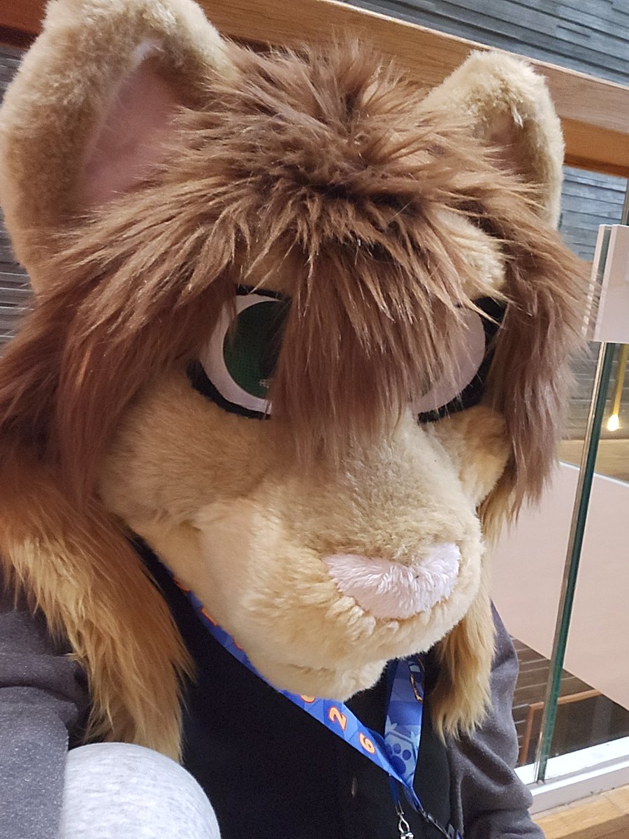 RealGamerKitten's tweet photo. At NordicFuzzCon! Come and find me if you can! ❤️ #NordicFuzzCon #gamerkitten https://t.co/GKdgNoLK1o