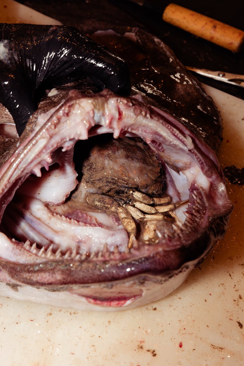 Dan Barber tweet media