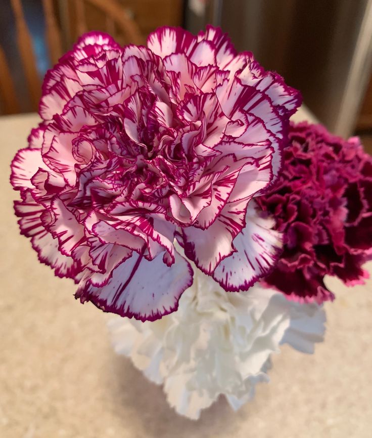 𝕏LIX 409. tweet media