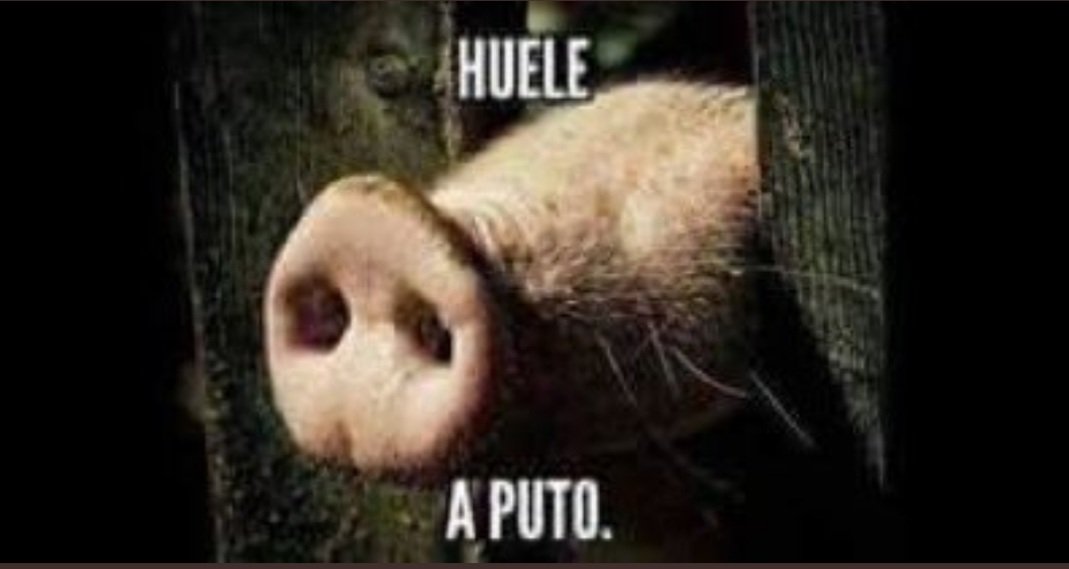 luigicroos's tweet photo. @EsdeProfugos https://t.co/1z1kKySC0o