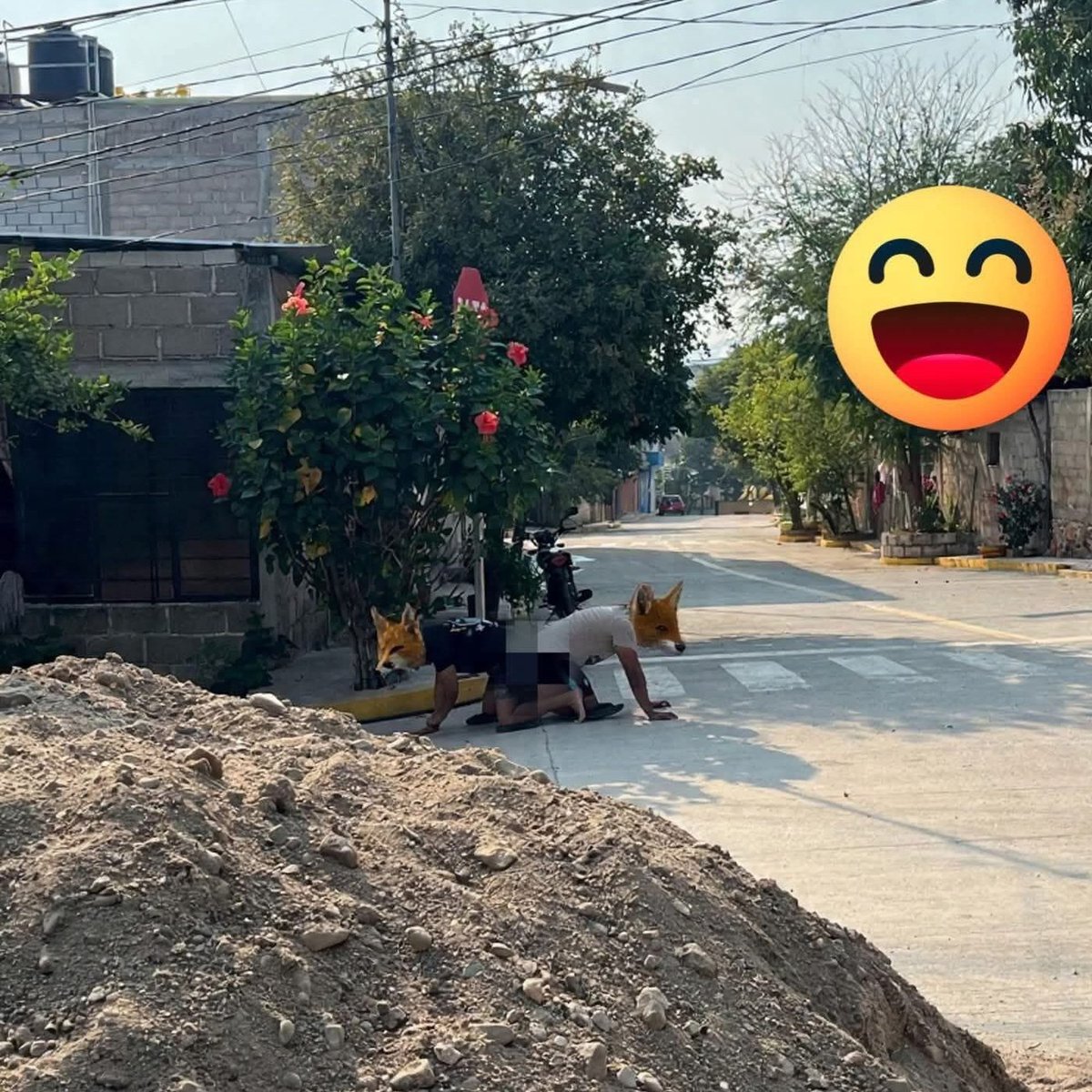 Así Es Monterrey tweet media