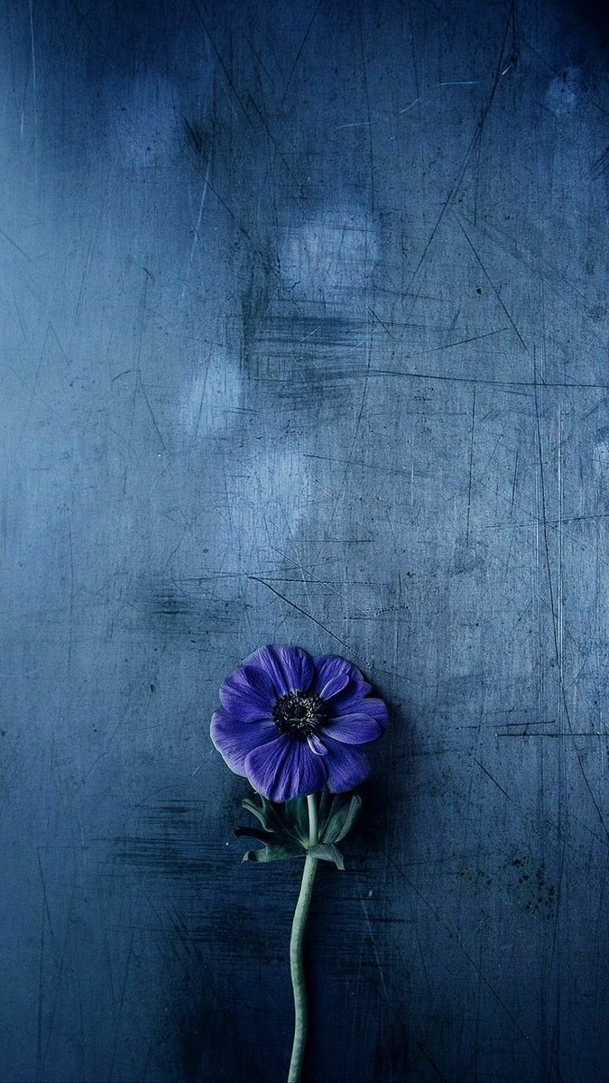 The moment I laid eyes on you,
my dream was shattered.
