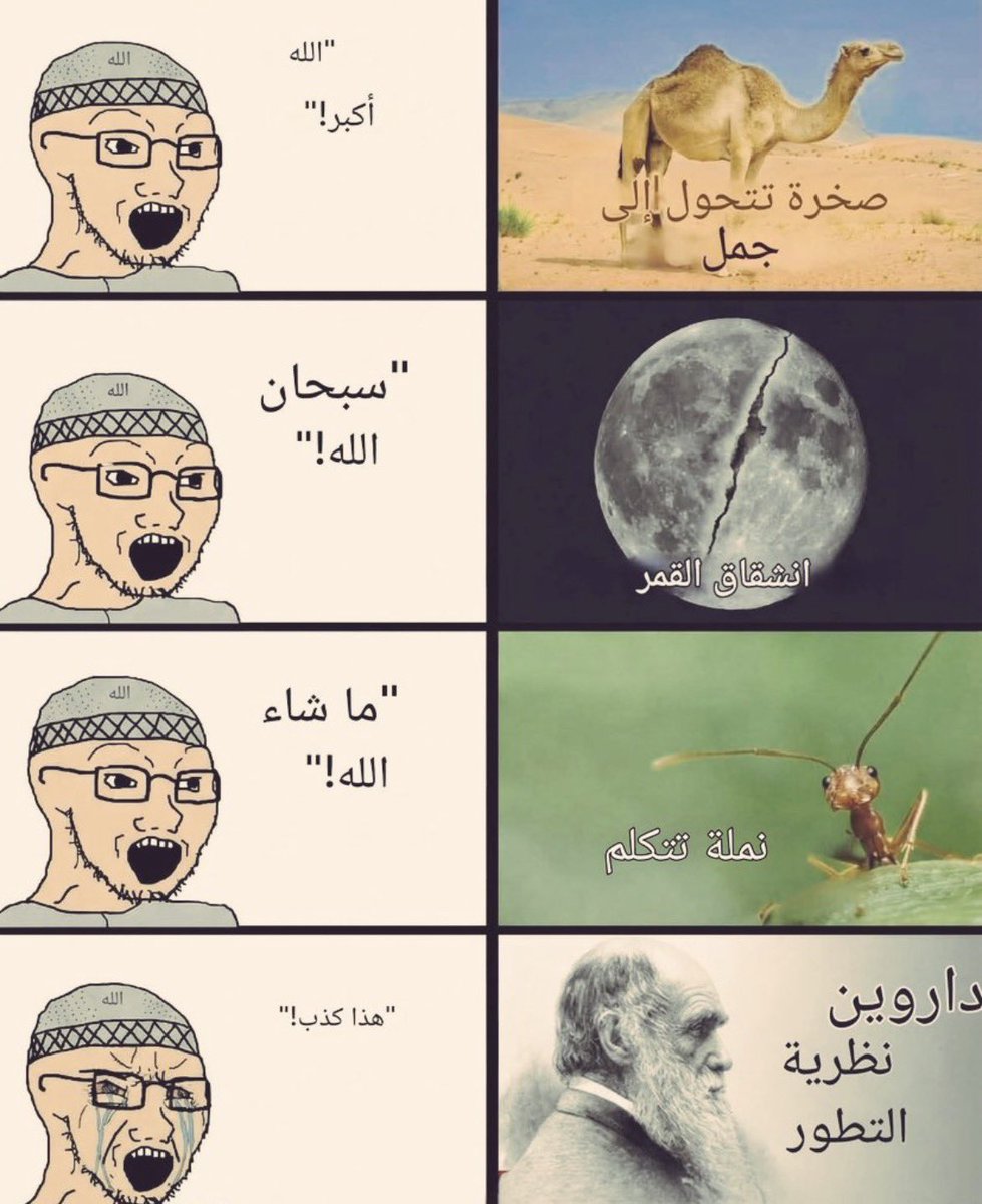 Banset La2et بانسة لقط (@ingodwetrust003) on Twitter photo 