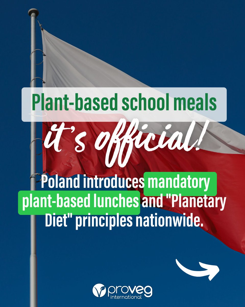 ProVeg International tweet media