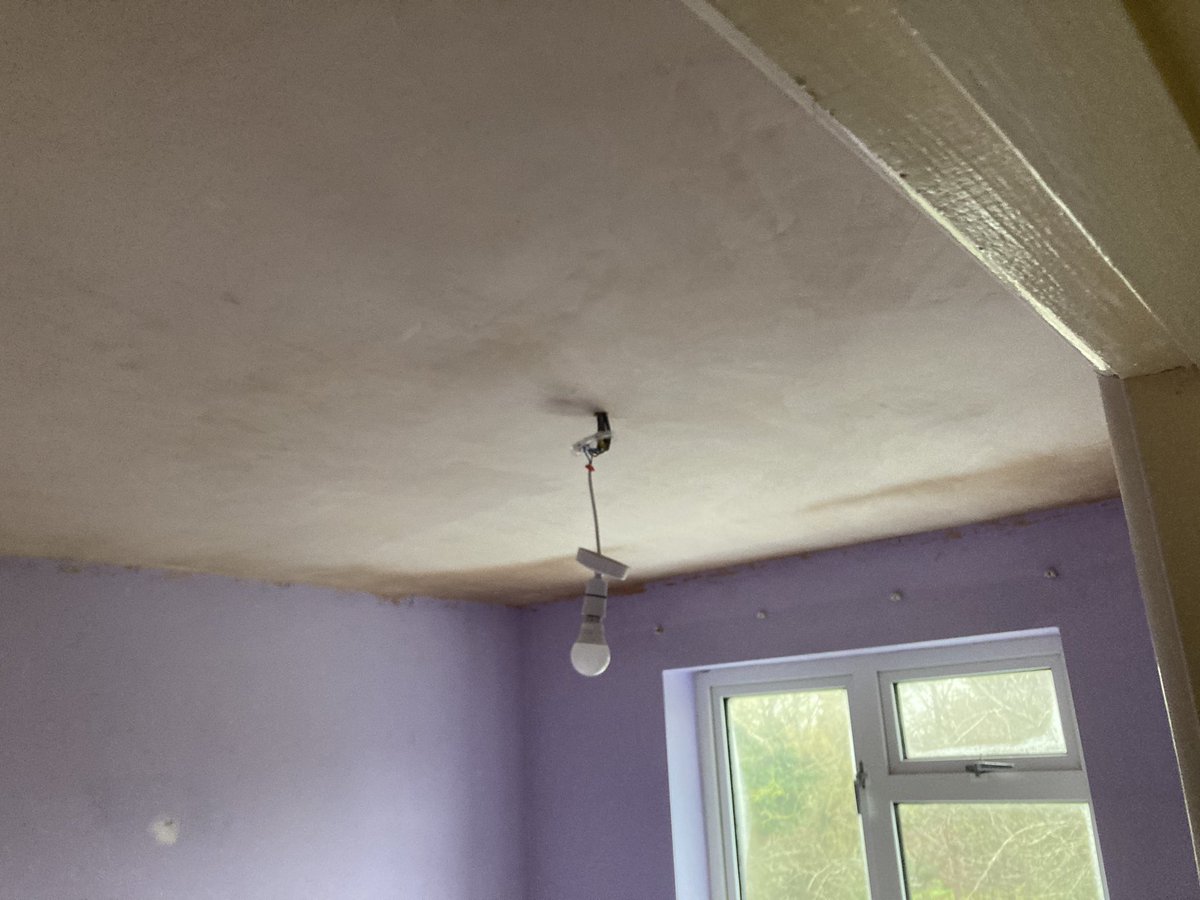 Pegasus Plasterers tweet media