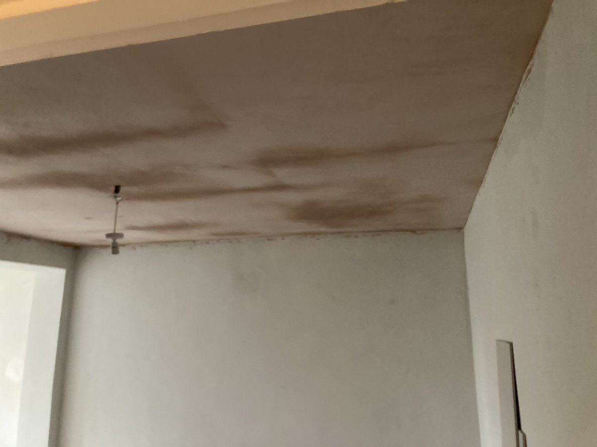 Pegasus Plasterers tweet media