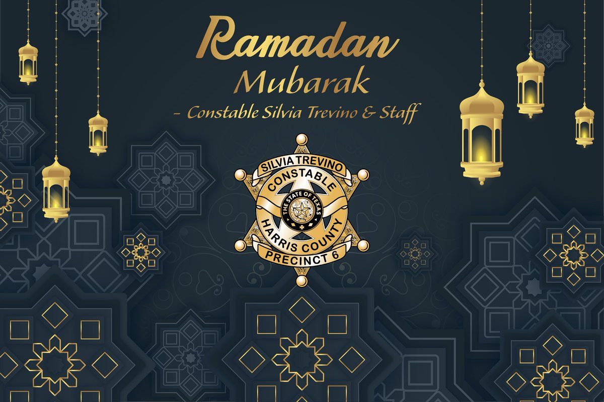 Silvia Trevino Pct 6 Constable tweet media