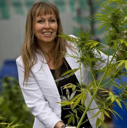 Hablemos también de cómo la propia clase política ha promovido esta mierda como una forma de “profundizar la democracia”.