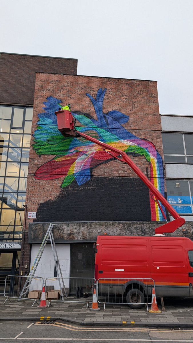 Liam Stokes-Massey tweet media