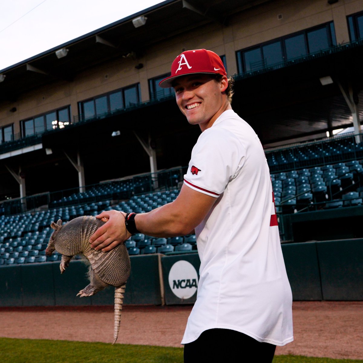 Arkansas Baseball tweet media