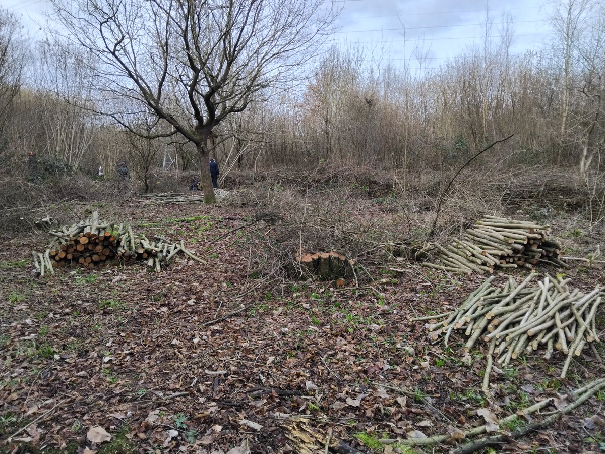 Greenways Project tweet media