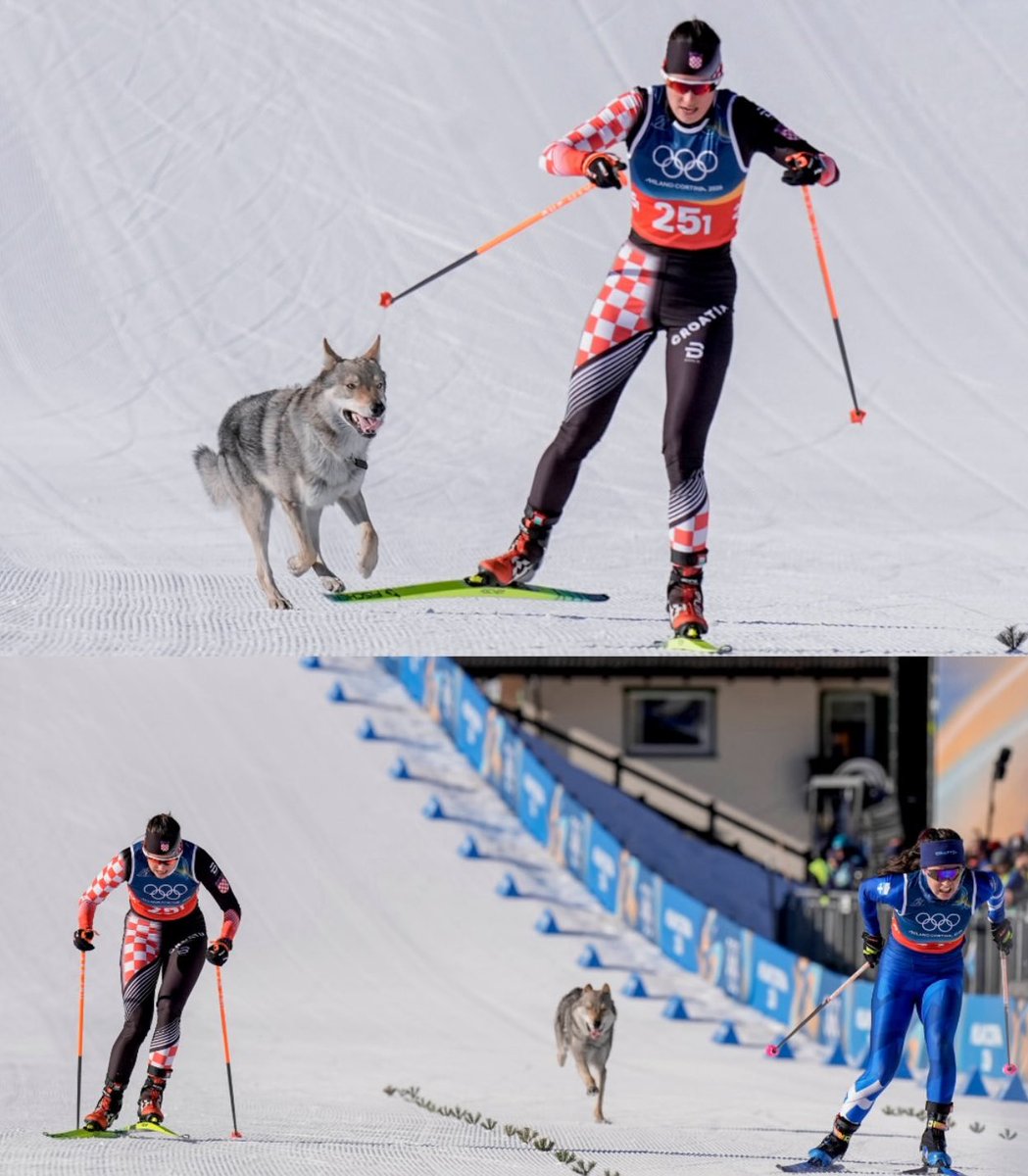 Puppieslover's tweet image. Photo of the day ❤️