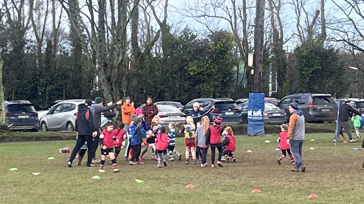 goreyCCRO tweet media