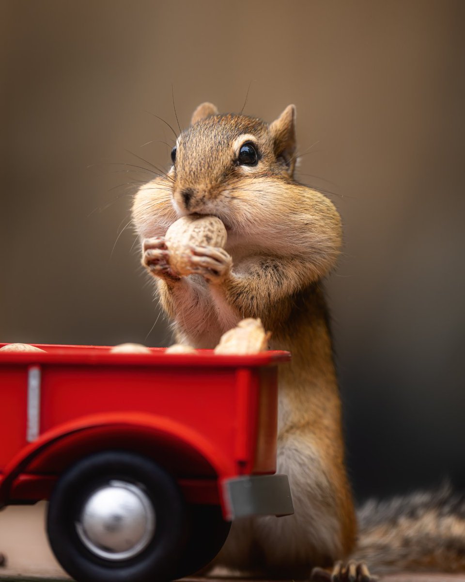 BzzAgent tweet media