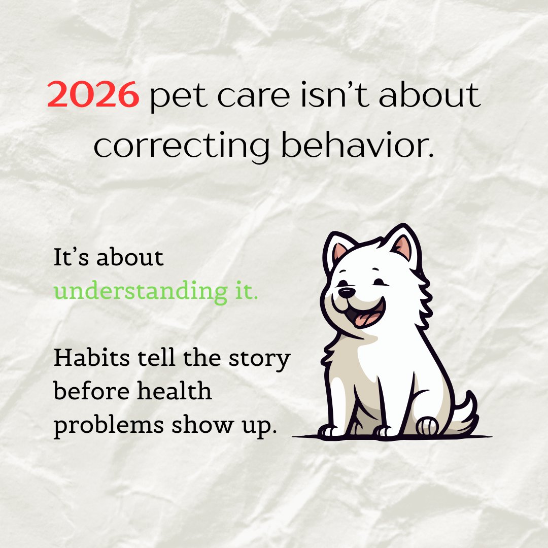 YourpetsPOV's tweet photo. Ever notice how your pet suddenly “acts different” and you can’t figure out why?

Behavior isn’t something to correct first.
It’s something to understand.

Because habits usually tell the story long before bigger problems show up 🐾💛

#dogcare #petbehavior #dogtips #habits #fyp https://t.co/NBI2MDIVgv