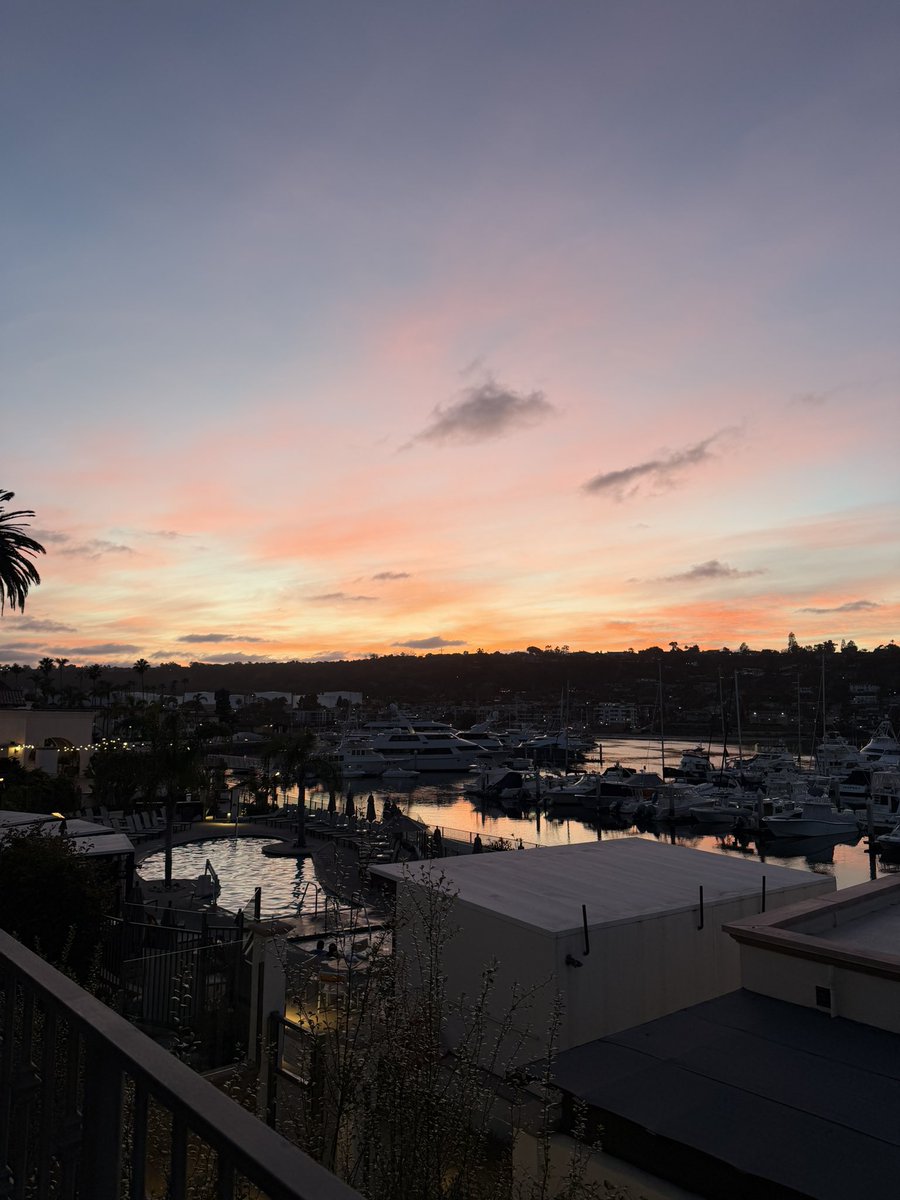 Sam Hall tweet media