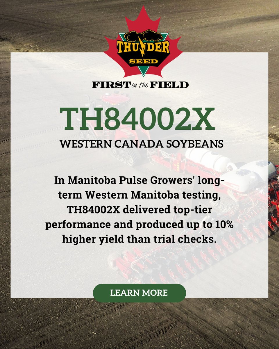 Thunder Seed tweet media