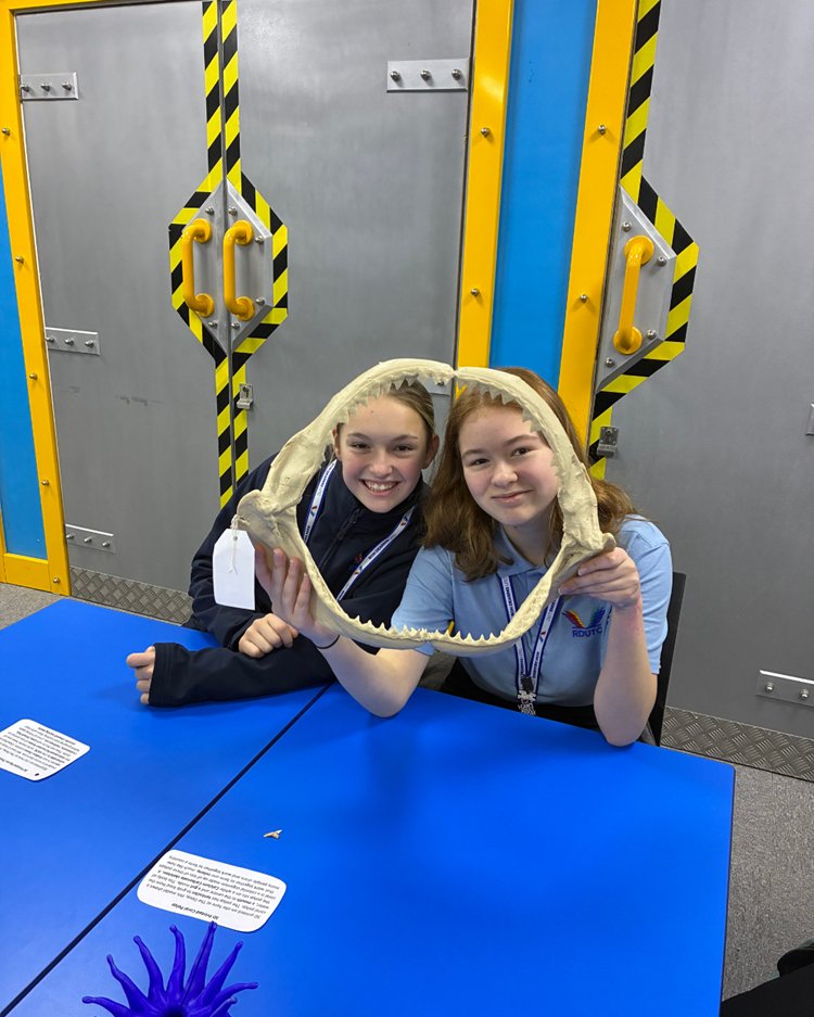 Ron Dearing UTC tweet media